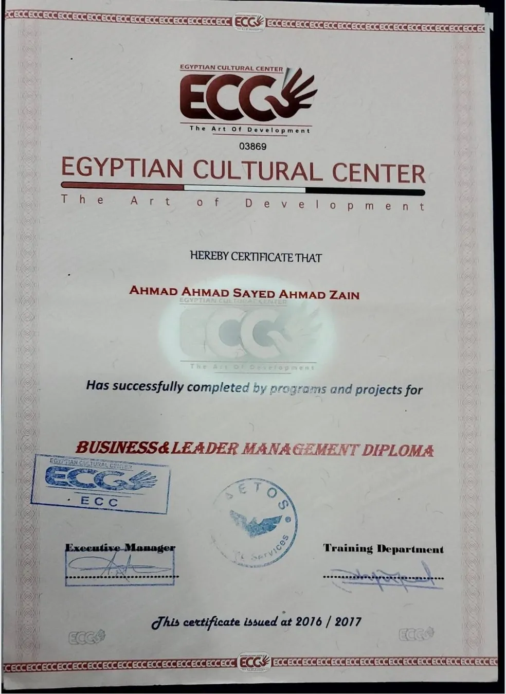 Professional Certification 17