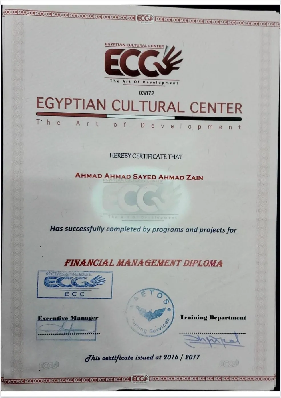 Professional Certification 18